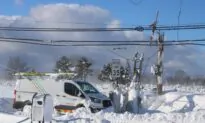 Grid Operator PJM Probes US Power Supply Woes During December Storm