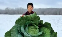 This Family-Owned Seed Company Is Telling—and Saving—the Stories of Heirloom Seeds