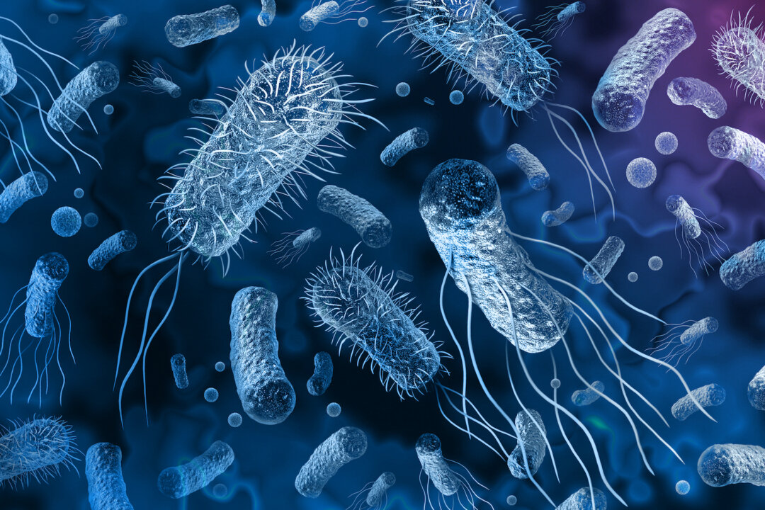 Definitive Evidence of the Gut Microbiome Role in Parkinson’s Disease