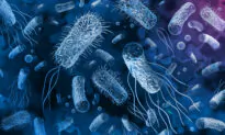 Definitive Evidence of the Gut Microbiome Role in Parkinson’s Disease
