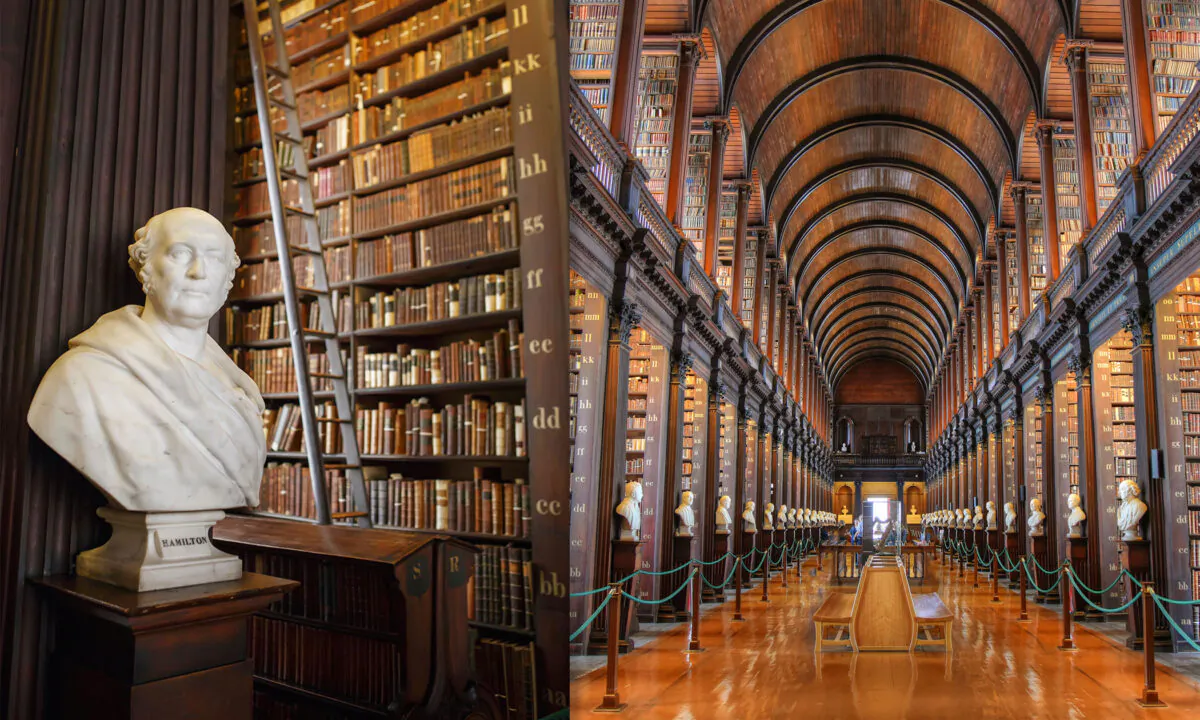 Left: (Nataliia Zhekova/Shutterstock); Right: (STLJB/Shutterstock)