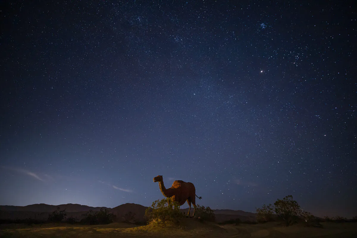 Borrego Springs is an International Dark Sky Community, making it a perfect place for stargazing and night-sky photography such as this view from Galleta Meadows. (Myung J. Chun/Los Angeles Times/TNS)