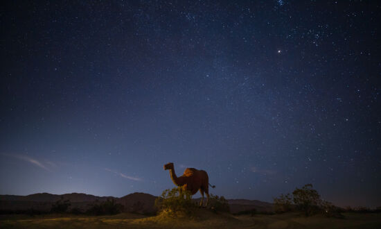 California Parks Too Crowded? Go Truly Off the Grid in the Starry Desert of Borrego Springs