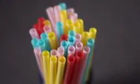 No ‘Accurate and Comprehensive’ Way to Assess Effectiveness of Single-Use Plastics Ban: Federal Report