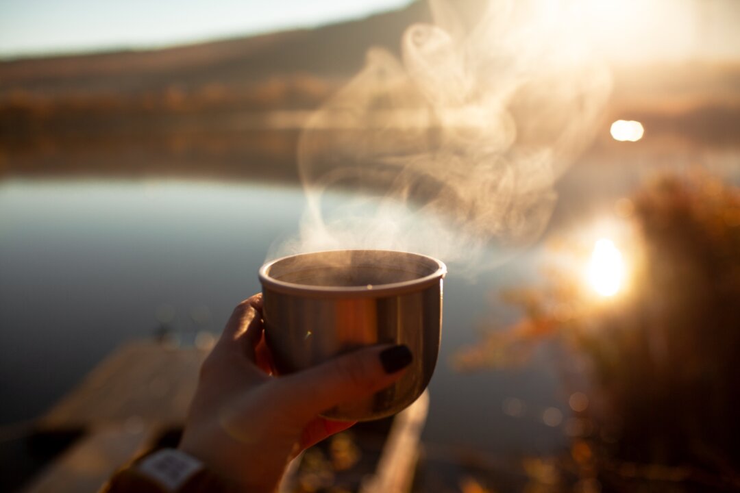 (Veronika Zelenina/Shutterstock)