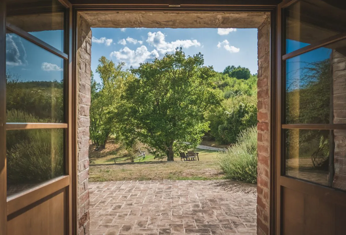Trees and landscaping add beauty as well as special spaces to a property, and there are ways to protect them when you have work done. (Mauricio Artieda/Pexels)