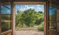 Don’t Damage Existing Landscaping During Construction