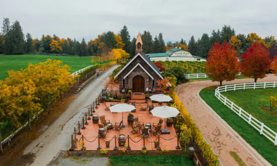 A Working Winery Estate