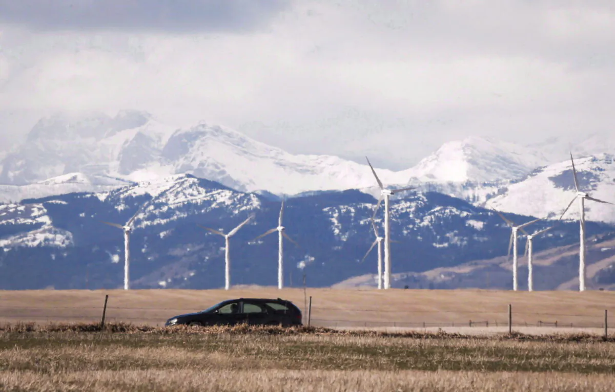 A wind farm is shown near Pincher Creek, Alta., in a file photo. (The Canadian Press/Jeff McIntosh)