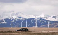 Boxing Day Special: Alberta Had Free Power for Several Hours, and That’s Not a Good Thing