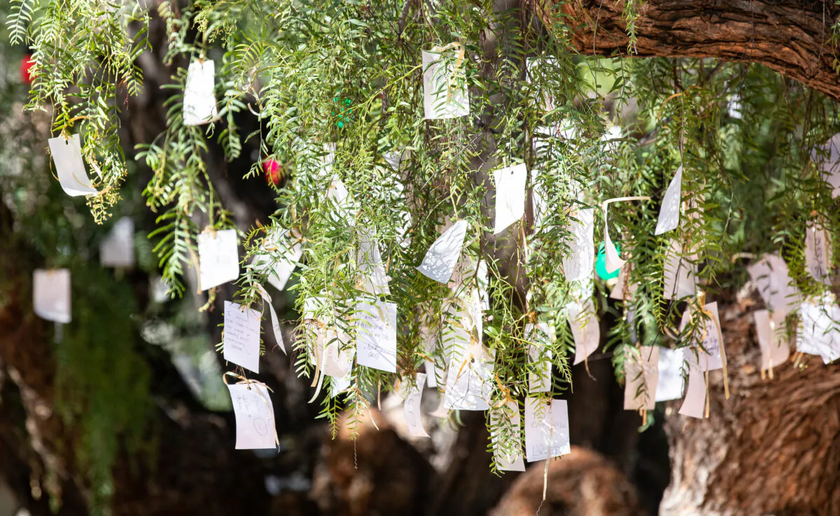 People place notes with wishes for 2023 on a Pepper Tree at The Sherman Gardens and Library in Newport Beach, Calif., on Jan. 20, 2023. (John Fredricks/The Epoch Times)