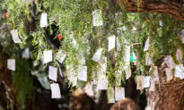 ‘Wishing Tree’ at Sherman Library and Gardens Draws Crowds as Event Soon Ends