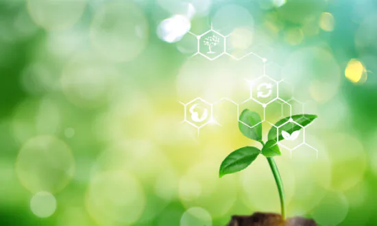 Fixing America’s Overpriced Health Care System With Natural Medicine