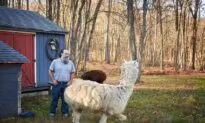 New England Farmer Sues Town for ‘Home Equity Theft’ in Federal Court
