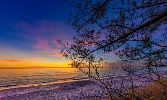Middle beach on Manasota Key at Sunset. (jo Crebbin/Shutterstock)