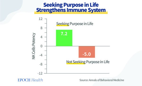 Seeking purpose in life strengthens immune system. (The Epoch Times)