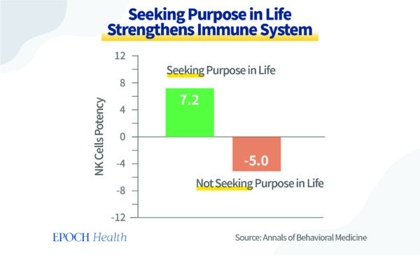 Chercher un but dans la vie renforce le système immunitaire.  (The Epoch Times)