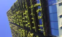 Vertical Gardens: Researchers Determine Efficacy of Cheaper Cooling Method