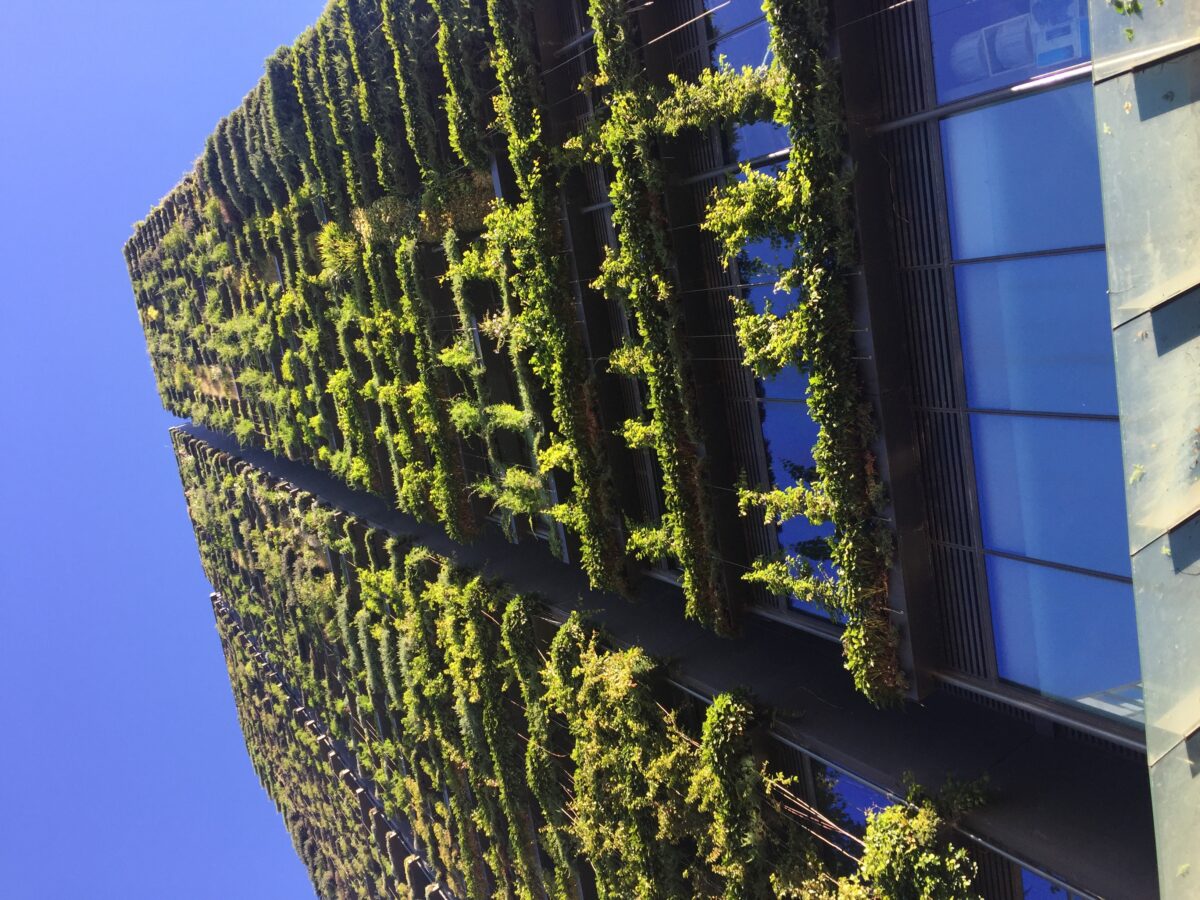 Vertical Gardens: Researchers Determine Efficacy of Cheaper Cooling Method - Vimarsana News