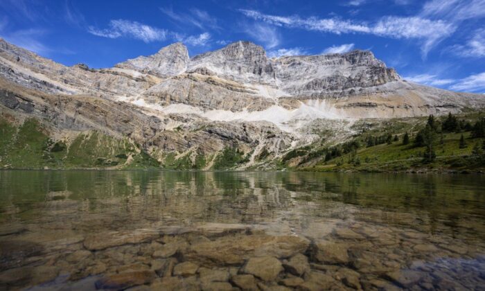 Two Killed in Bear Attack at Banff National Park, Grizzly Euthanized: Parks Canada