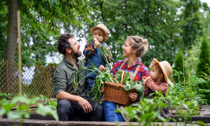 New Study Finds Admiring Gardens Boosts Wellbeing