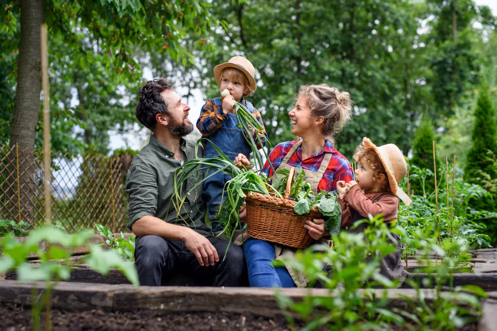 Community supported agriculture is an important way to get healthy food and encourage sustainable local agriculture. (Ground Picture/Shutterstock)