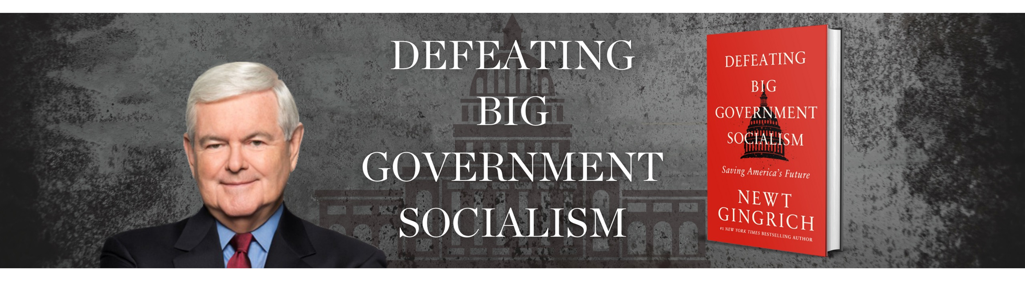 Book Review: 'Defeating Big Government Socialism: Saving America's Future' - Vimarsana News