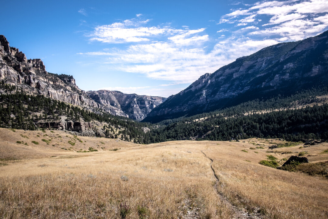 Meadow views above Tongue River Canyon. (Benjamin Myers/TNS)