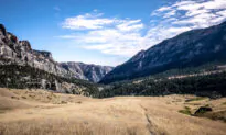 Getting Roped In by Wyoming