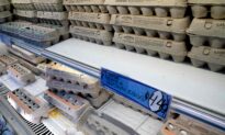 Farm Group Calls for Investigation of Record-High Egg Prices