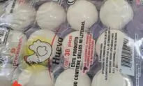 New Problem for Officials at US-Mexico Border: Smuggled Eggs