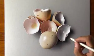 Drawing Eggshells so Realistic That You Would Like to Crush Them | Marcello Barenghi
