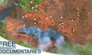 The Land of Majestic Volcanoes, Seething Geysers, Powerful Waterfalls, & Threatening Fjords