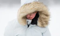 Toronto Pearson Airport Warns of Flight Delays as Snowstorm Hits Ontario