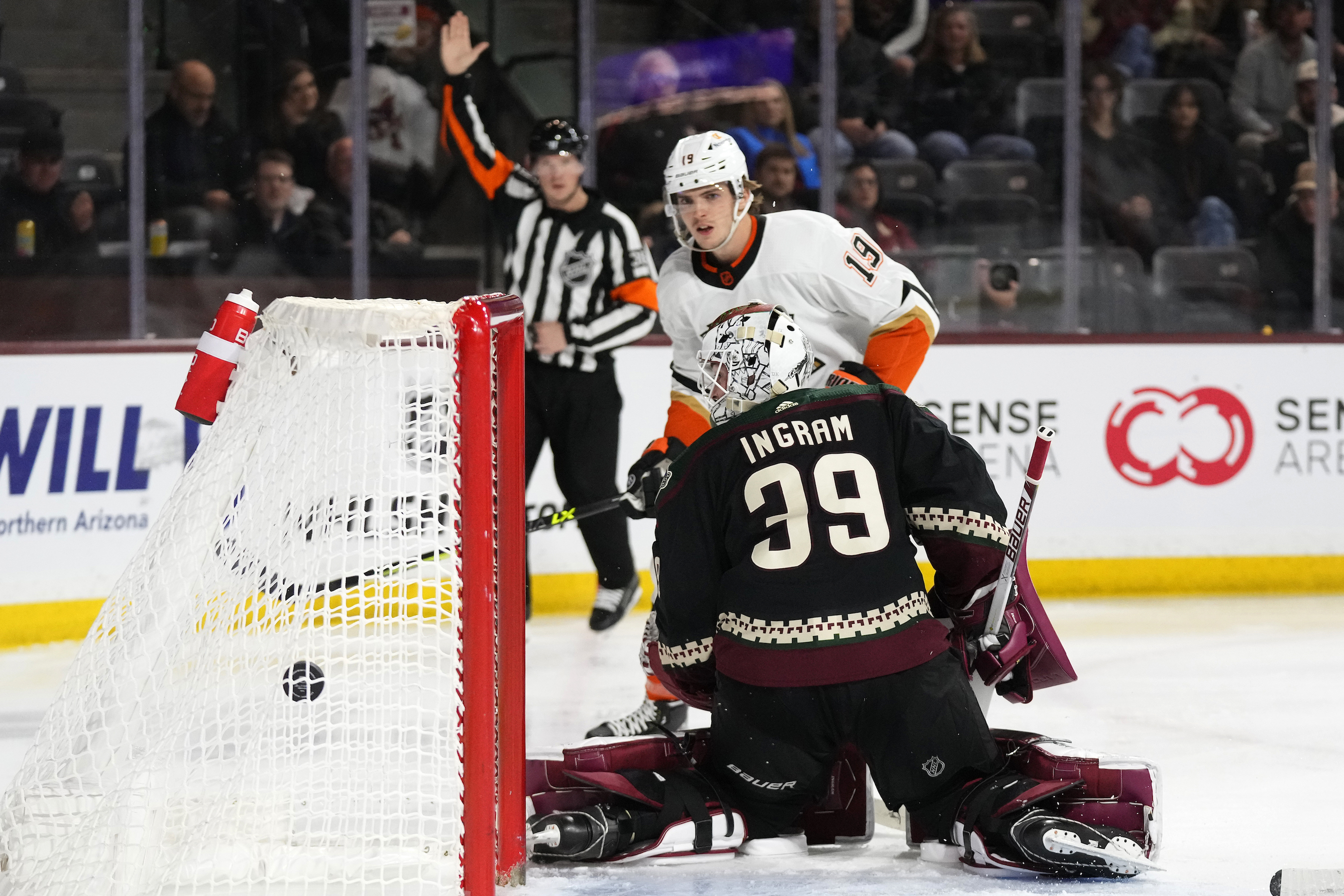 Fowler Scores Twice, Ducks Knock Off Coyotes 5–2 - Vimarsana News
