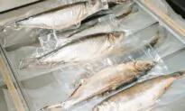 Ways to Use a FoodSaver Vacuum Sealer That Have Nothing to Do With Food