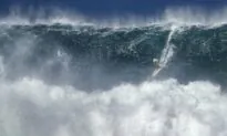 Lifeguard Luke Shepardson Wins Hawaii Surfing ‘Super Bowl’