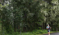 Biden Admin Reverses Trump-Era Rule, Bans Logging in Alaska Forest