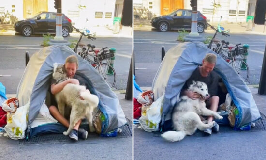 VIDEO: Husky Fell in Love With a Homeless Man in Paris—Their Bond Changed His Life