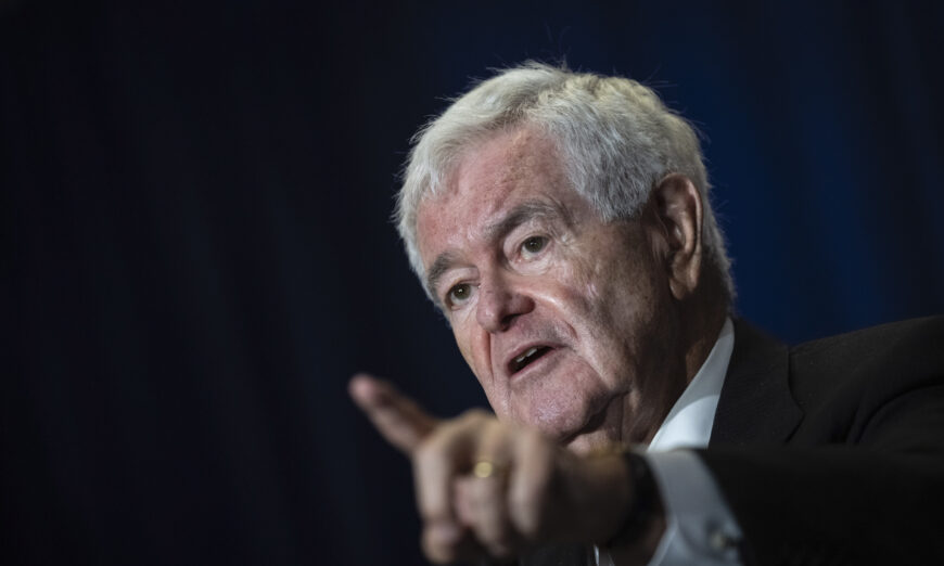 Newt Gingrich claims Democrats love to steal elections.