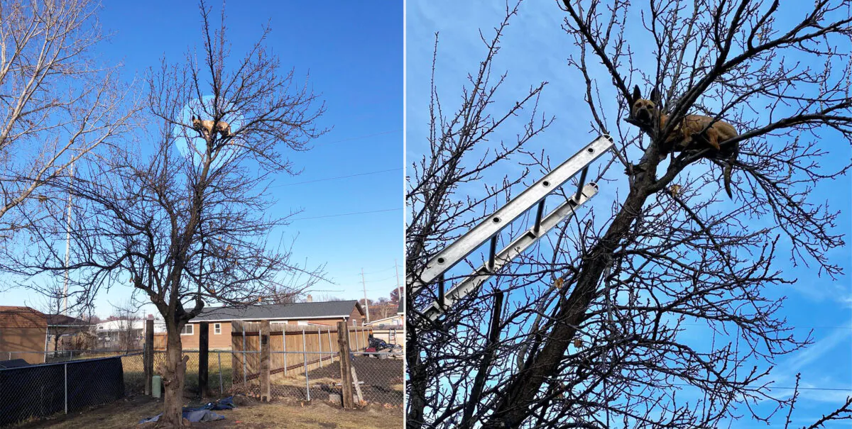 (Left: Courtesy of Christina Danner; Right: Courtesy of Caldwell Fire Department)