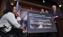 Democrats Ask Trade Commission to Investigate Manufacturer of Youth-Sized Rifle