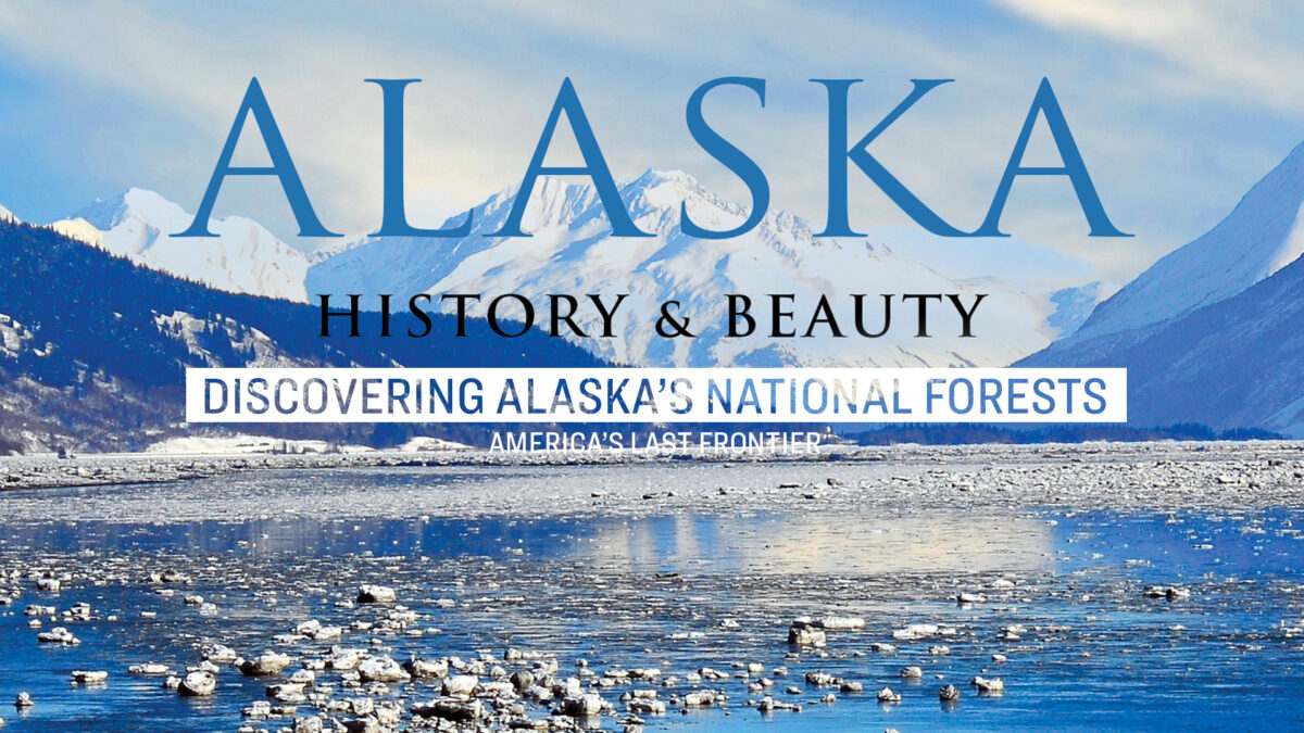 NextImg:Discovering Alaska’s National Forests: America’s Last Frontier | Alaska: History & Beauty Ep6 | Documentary