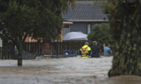 ‘Spongiest’ City Auckland Still No Match for Floods