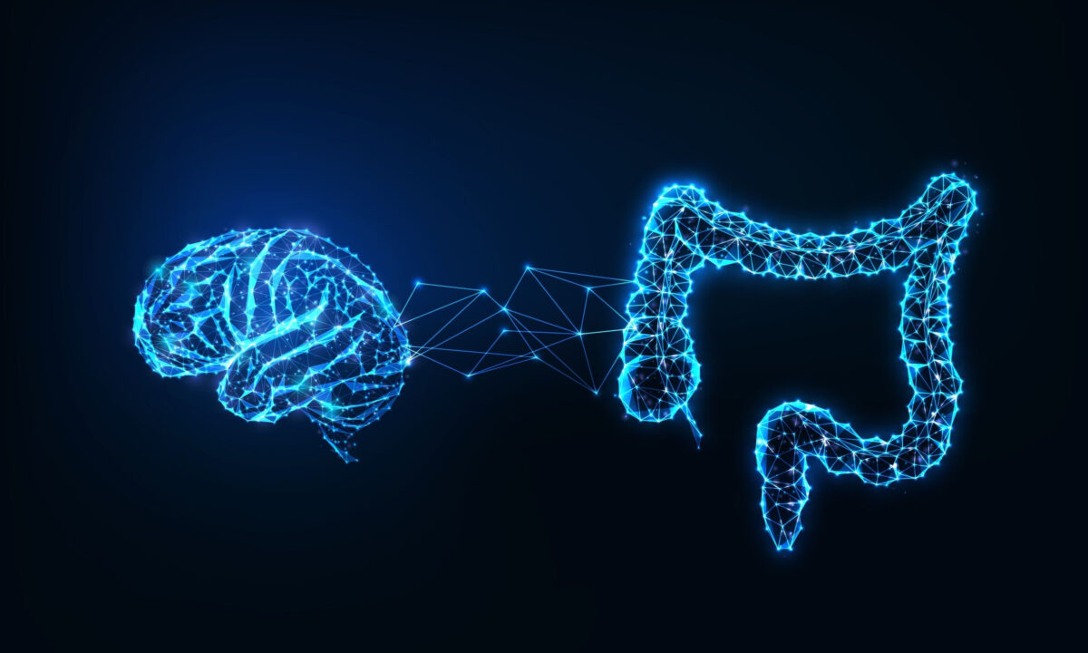 NextImg:Stress Ushers in Harm Through Microbiome