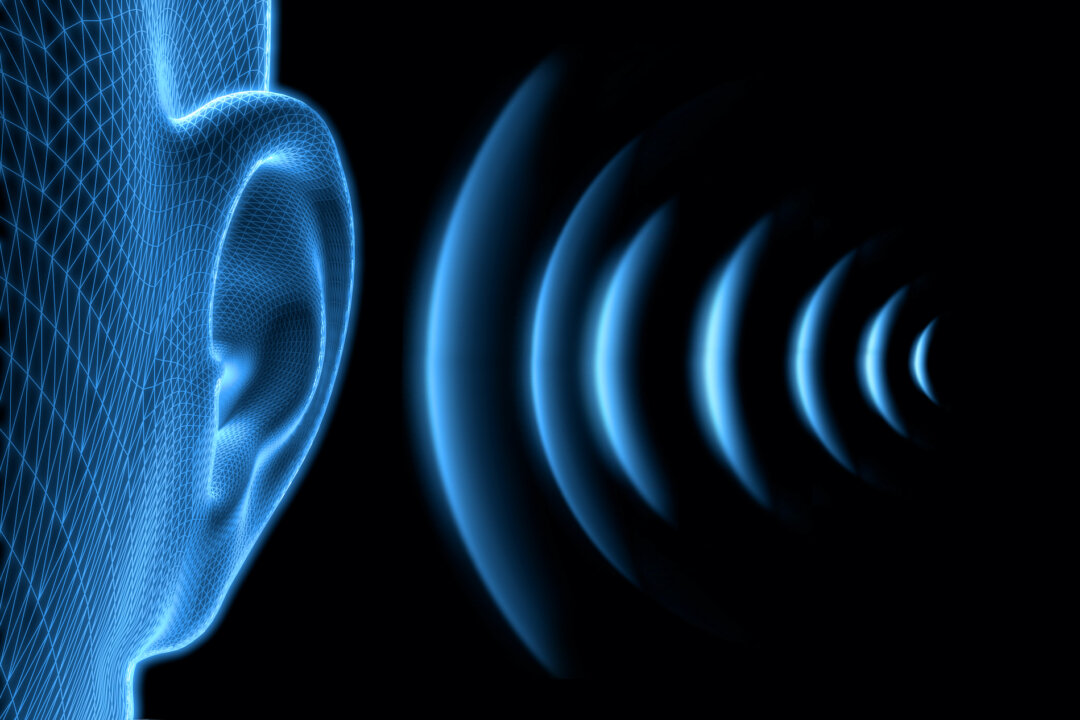 Human ear wireframe illustration with sound waves. (Shutterstock)