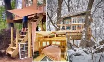 Couple Build Their Own Airbnb in a Tree From Scratch, Business Flourishes, and It’s Uber-Cozy