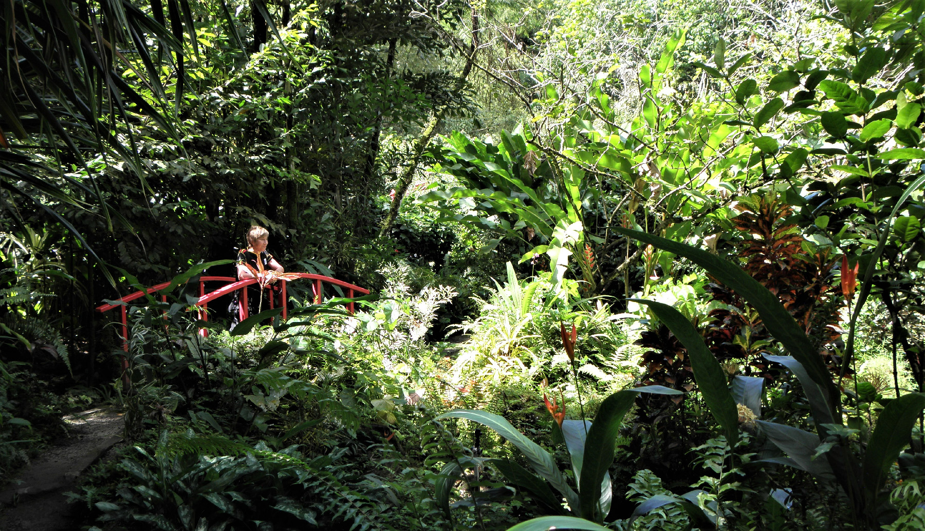 A visitor stops to enjoy the lush foliage on the Caribbean island of St. Lucia.