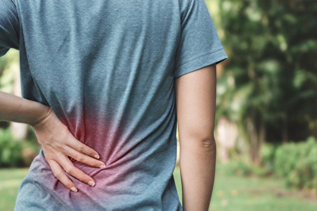 A study in Korean medicine (Chinese medicine) shows that the herbal medicine Harpagophytum procumbens has the effect of improving spinal stenosis. (Shutterstock)