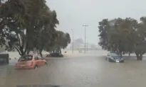 New Zealand Counts Cost of Auckland Floods, More Rain Forecast
